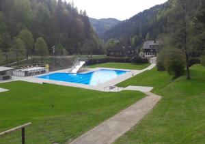 basen w środku zielonego pola w obiekcie Hotel Waldeck in Todtnau w mieście Todtnau