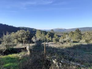 una vista de un campo con árboles y una valla en Quinta Das Lameirinhas, en Marvão