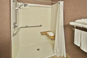 O baie la Holiday Inn Express Hotel & Suites Woodhaven, an IHG Hotel