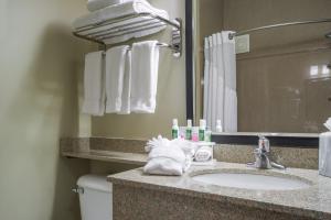 Un baño de Holiday Inn Express Hotel & Suites St. Paul - Woodbury, an IHG Hotel