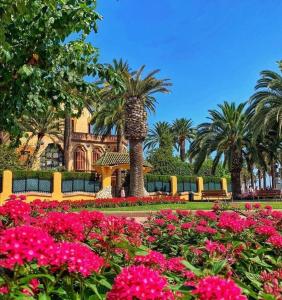 een park met roze bloemen en palmbomen bij Apartamento Salou lux por precio económico. in Salou