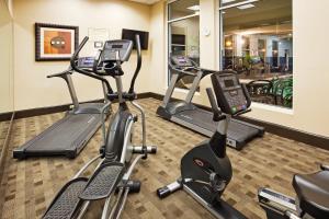 Holiday Inn Hotel & Suites Beaufort at Highway 21, an IHG Hotel tesisinde fitness merkezi ve/veya fitness olanakları