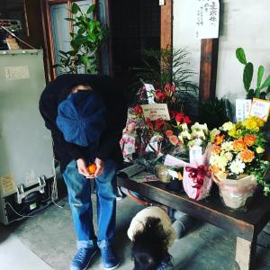 松山市にある麦宿 伝 Guest House Brewの橙を犬とテーブルの前で握っている男