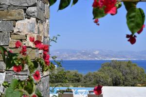 - une vue sur l'océan depuis un mur en pierre orné de fleurs dans l'établissement Blue Amaryllis Villas, à Santa Maria