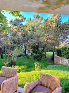 a view of a garden with two chairs and trees at Green Park Hotel in Porto Cervo