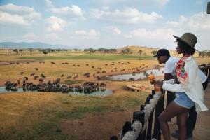 - un couple debout sur une clôture à la vue d'un troupeau d'animaux dans l'établissement Salt Lick Safari Lodge, à Tsavo