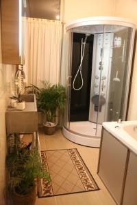 a bathroom with a shower with a sink and plants at Antonius Bed and Breakfast in Arnhem