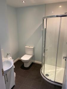 La salle de bains est pourvue de toilettes et d'une douche en verre. dans l'établissement Ivy Cottage-Serviced accommodation, à Dyce