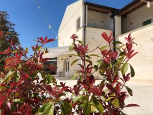 uma planta com flores vermelhas em frente a um edifício em Hotel Cave Del Sole em Matera