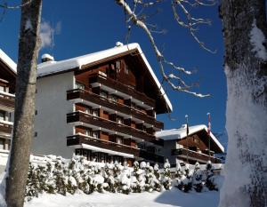 ein Gebäude im Schnee mit schneebedeckten Büschen in der Unterkunft Hotel Residence in Grindelwald