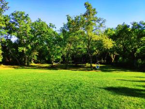 un champ d'herbe verte avec des arbres en arrière-plan dans l'établissement Apartments Gioia, à Poreč