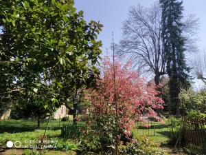 a tree with pink flowers in a garden at L'adresse à Besançon in Besançon