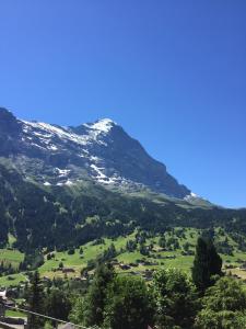 vista su una montagna con neve di Apartment Jungfrau Lodge a Grindelwald