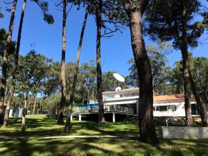 Un jardín fuera de Villa Colares