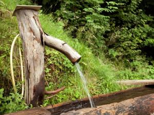 einen hölzernen Brunnen mit einem Holz in der Unterkunft Gästehaus Flörl in Gerlosberg