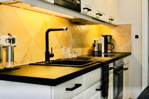 a kitchen with a sink and a counter top at Sellminchen Sylt in Westerland (Sylt)