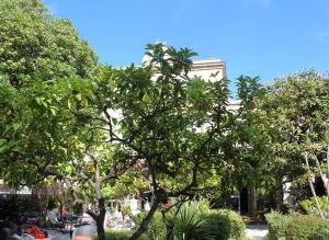 a tree in a garden with a building in the background at Hôtel Les Palmiers in Saint-Tropez