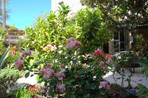 a bush of pink flowers in a garden at Hôtel Les Palmiers in Saint-Tropez