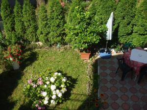 een uitzicht over een tuin met bloemen en een parasol bij Vila Ana-Maria in Sinaia