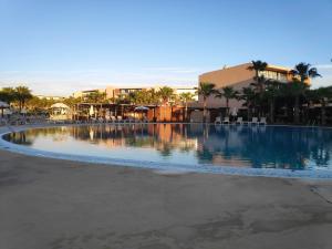 Salgados Beach&Golf - Praia dos Salgados في ألبوفيرا: مسبح كبير بالنخيل والمباني