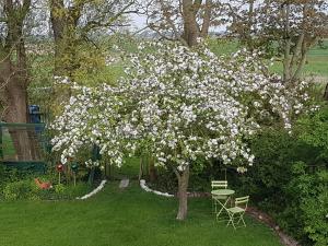 uma árvore com flores brancas num quintal em Birkenhof Neuharlingersiel em Neuharlingersiel