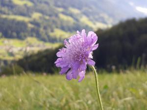 Un paisaje natural cerca of the bed and breakfast