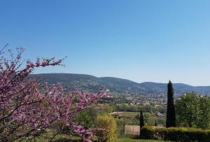 einen Baum mit rosa Blumen auf einem Hügel mit Bergen im Hintergrund in der Unterkunft Villa Manoe in Draguignan