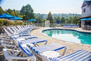 - une rangée de chaises longues à côté de la piscine dans l'établissement Stormy Point Village, à Branson