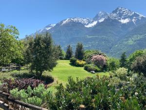 un jardín con montañas en el fondo en Hotel Milleluci, en Aosta