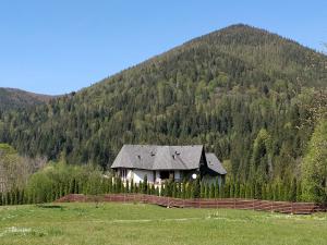 une maison dans un champ en face d'une montagne dans l'établissement Садиба "Градний Узвіз", à Tatariv