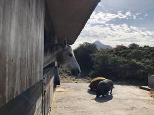 Lanskap alam di dekat rumah liburan