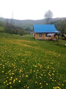 Naturlandschaft in der Nähe des Motels