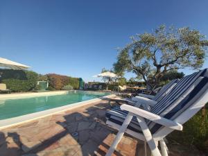 Der Swimmingpool an oder in der Nähe von Agriturismo - B&B L'Acquacotta