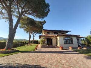 ein Haus mit einem Baum und einer steinernen Einfahrt in der Unterkunft Agriturismo - B&B L'Acquacotta in Castiglione della Pescaia