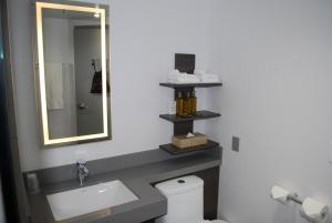 A bathroom at DoubleTree by Hilton Ottawa Downtown