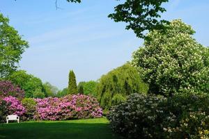 een bankje in een park met bloemen en bomen bij Küstenliebe Graal-Müritz in Gelbensande