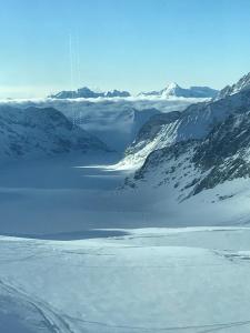 widok na pokryte śniegiem pasmo górskie z jeziorem w obiekcie Chalet Burglauenen Grindelwald w mieście Grindelwald