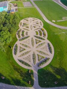 an aerial view of a tree in the grass at Baltas gandras in Naisiai