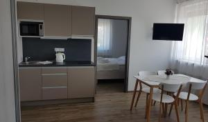 Kuchyňa alebo kuchynka v ubytovaní Apartmány Pemag Mikulov