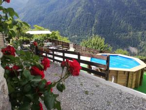 a view of a swimming pool and flowers at Les Balcons du Molliebon in Séez