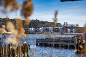 un cigno che nuota su un lago con appartamenti sullo sfondo di Maremüritz Yachthafen Resort a Waren