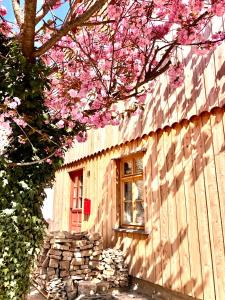 a building with a window and a tree with pink flowers at Exklusive ökologische Ferienwohnung ,City, OG in Wernigerode