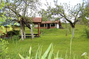 een huis op een heuvel met een groene tuin bij Sadyba Lukacha in Zhdenievo