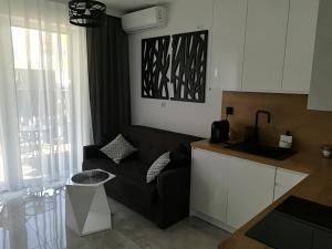 een woonkamer met een bank en een keuken bij Apartament Wrocław Centrum Dorzecze Legnickiej in Wrocław