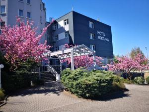 un hôtel avec des fleurs roses devant un bâtiment dans l'établissement Hotel Fortuna Reutlingen-Tübingen, à Reutlingen