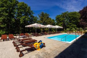 Poolen vid eller i närheten av STEIGER Parkhotel Hohnstein