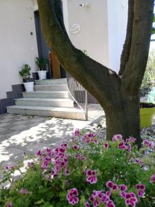 a tree with flowers in front of a building at B&B Guest Armonie in Torre del Greco