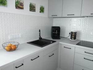 A cozinha ou cozinha compacta de Apartament Zielone Wzgórze