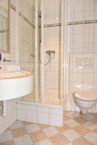 a bathroom with a shower and a toilet and a sink at Frühstückspension Oberweissburg in Sankt Michael im Lungau