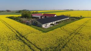 une maison au milieu d'un champ de fleurs jaunes dans l'établissement Örums Nygård Gårdshotell, à Löderup